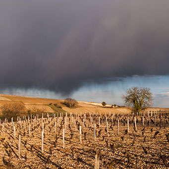 Storm clouds over the vines up above our house in France